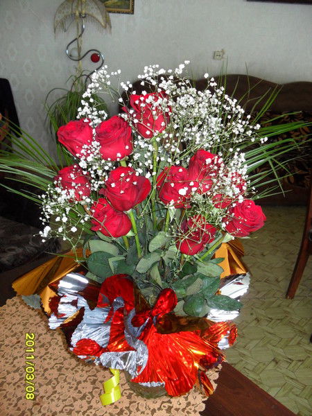 Елена Потапова