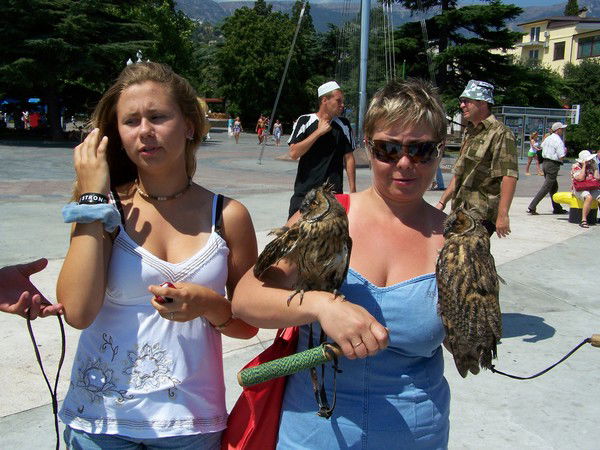 Елена Бых (Волкодаева)