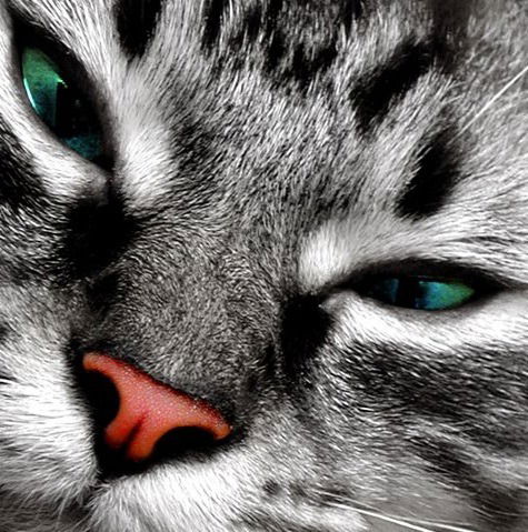 Екатерина Данилова