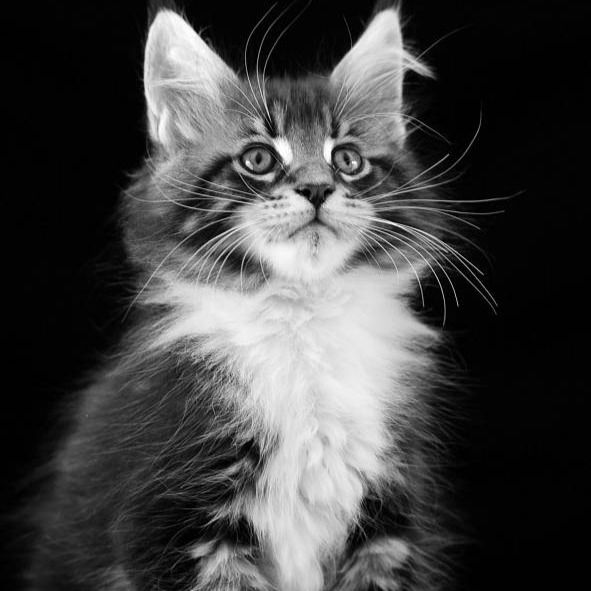 Наталья Ахромейко