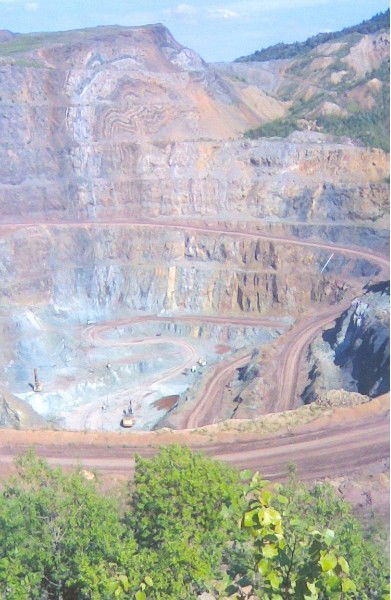 Элина Нафикова