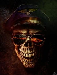 Весёлый Роджер