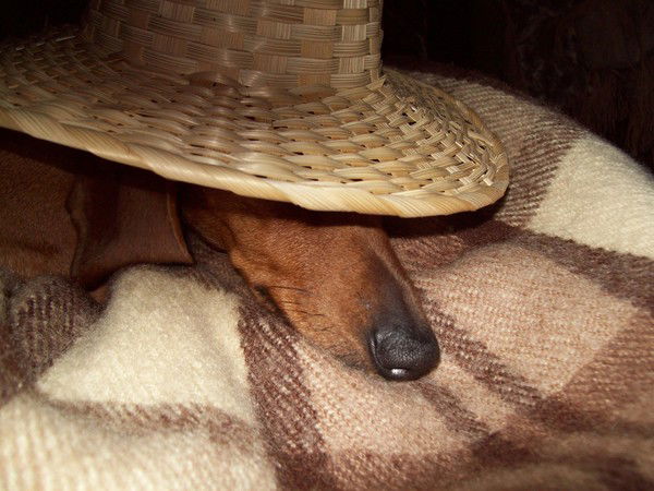 Леонид Кирсанов