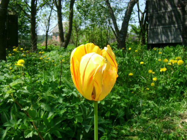 Ирина Игнатова