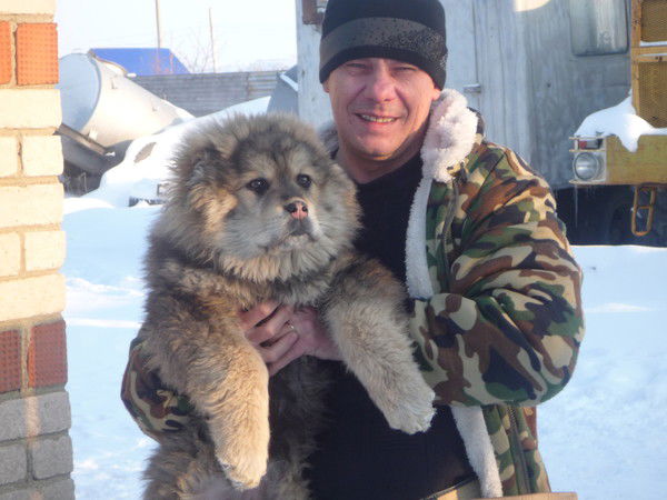 Сергей Кохан