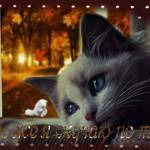 Светлана Семенова