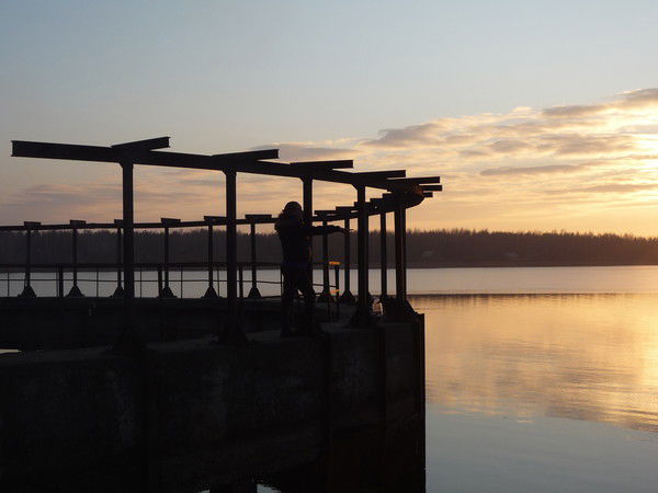 Екатерина Шведова