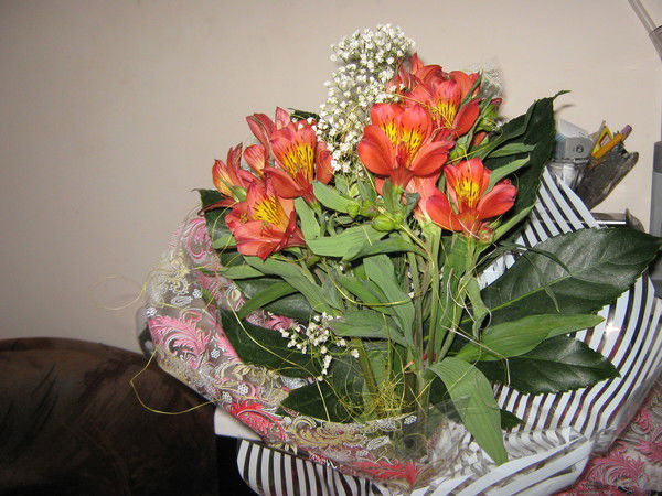 Светлана Сокол