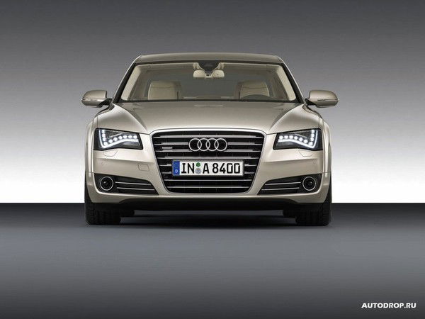 Тришин Андрей