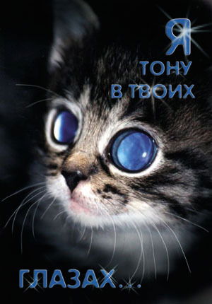 Анна Борисенко