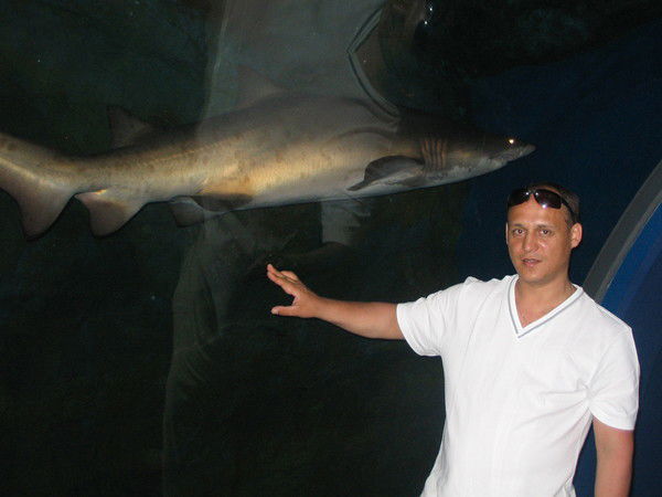 Дмитрий Савосин