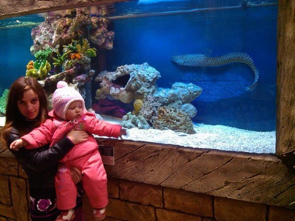 что значит шкура обращение к девушки. Смотреть фото что значит шкура обращение к девушки. Смотреть картинку что значит шкура обращение к девушки. Картинка про что значит шкура обращение к девушки. Фото что значит шкура обращение к девушки