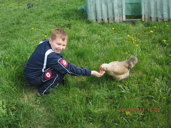 Владислав Паникаровский