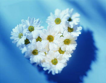 Елена Пережогина