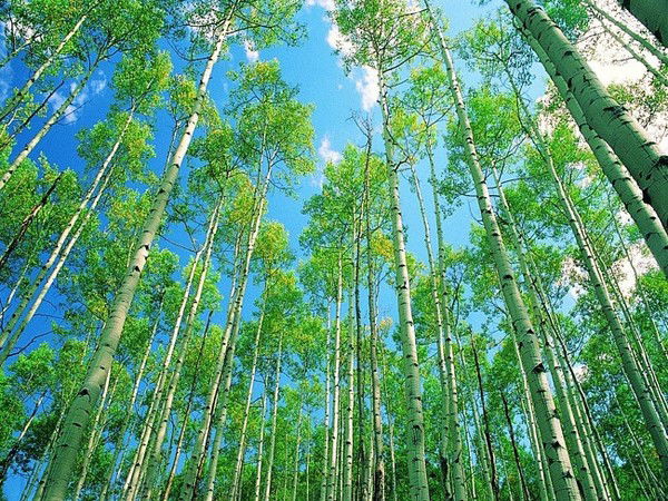 Сергей Жигалов