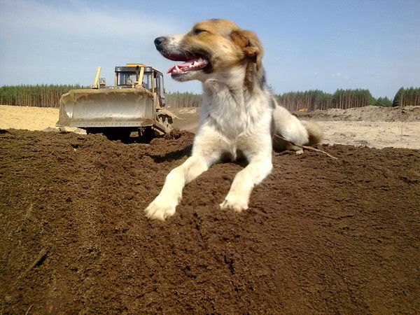 Алексей Зубко