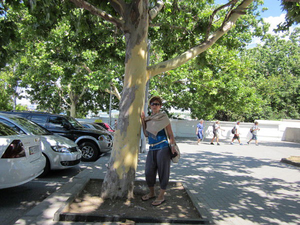 Юлия Аксютина