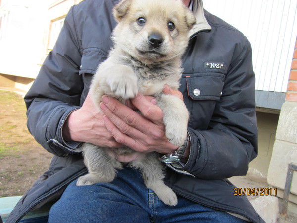 Сергей Изибаиров