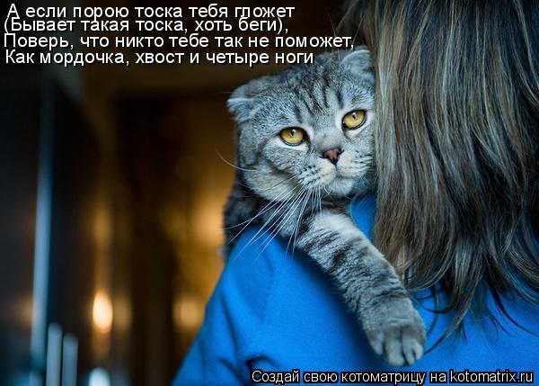 Анастасия Широкова