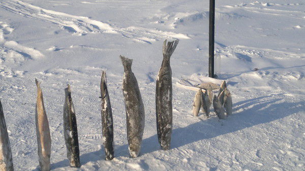 Андрей Зеленюк