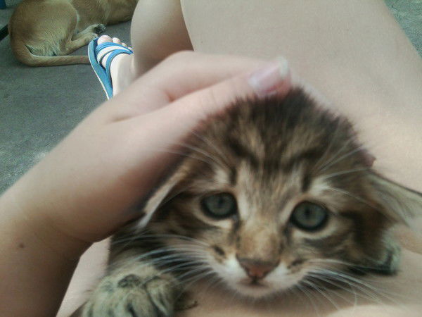 Екатерина Еланцева