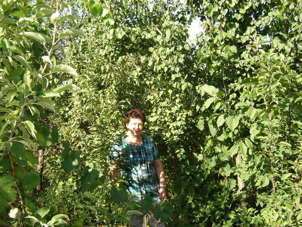 Любовь Чернобук