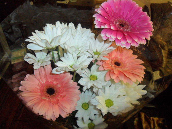 Мария Киселёва