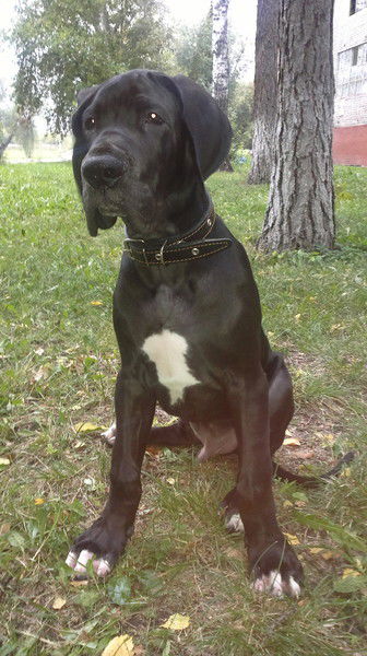 Сергей Бугарцов