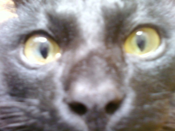 Дмитрий Дмитрий