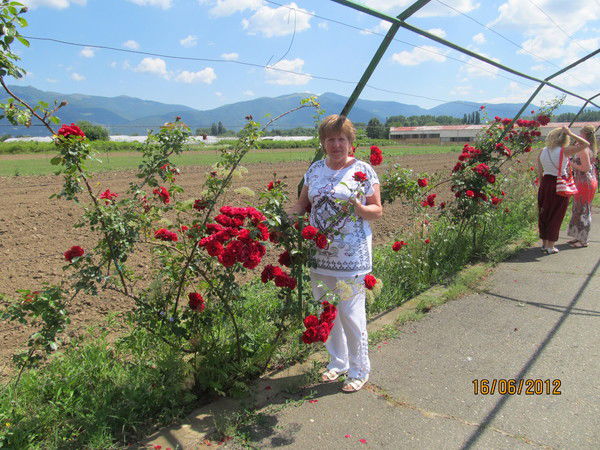 Валентина Грецкая