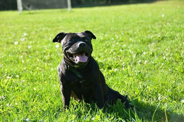 Анастасия Куклева