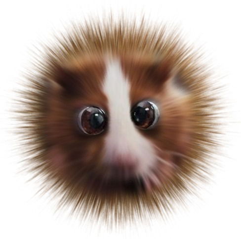 Михеев Дмитрий