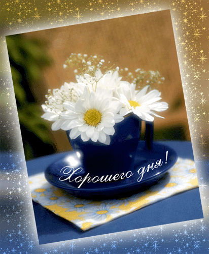 Елена Голяченко (Малочкина)