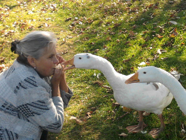 Нина Ковалева