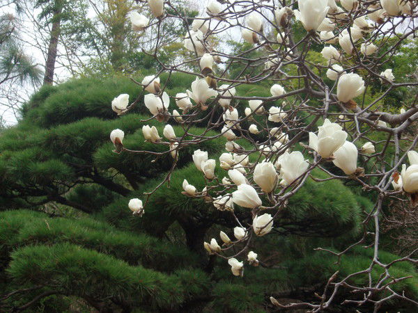 Ольга Феоктистова