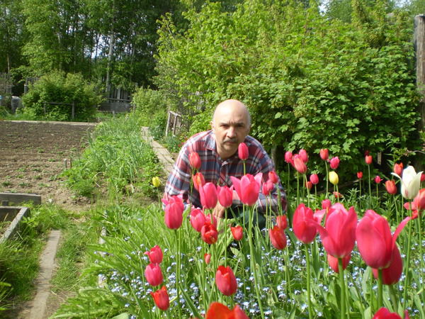 Виктор Шило