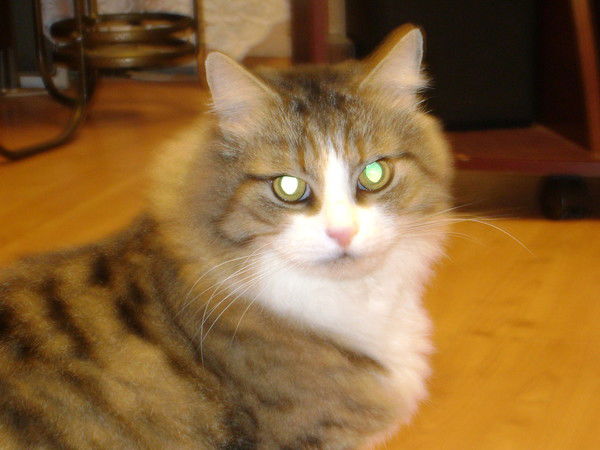 Одноклассник Одноклассников