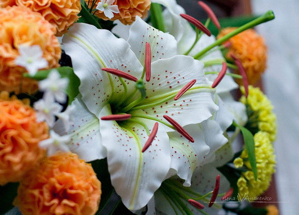 Ольга Коваль