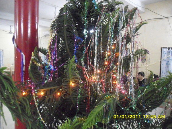 Елена Ленчик