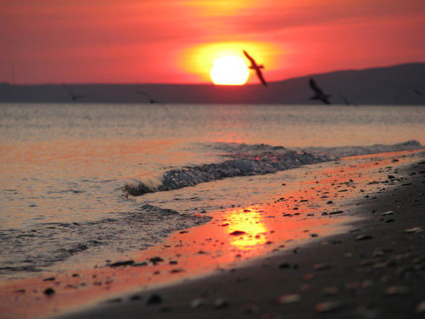 Юрий Григоренко