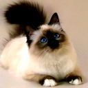 Полина Зинченко