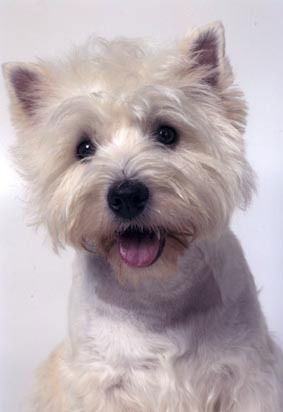 Полина Бережная