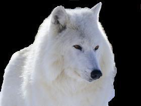 Мороз Дмитрий