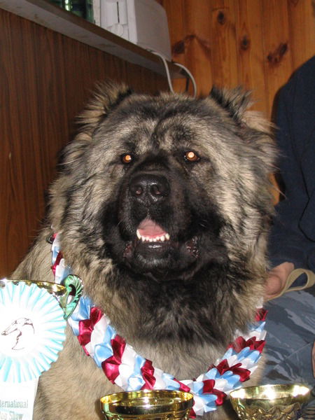 Лена Васильёнова