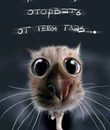 Спроси! Узнаешь!)