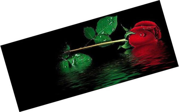 Наргиз Сагынтай