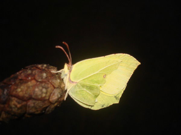 Марина Илюхина