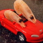 Серёжа Мостович