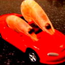 Серёжа Мостович