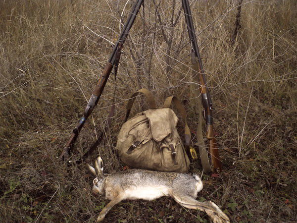 Женя Жилович